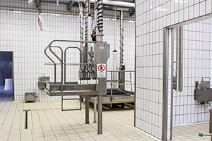 Rivestimenti Klinker Gloss Igienizzante 