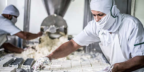 DAIRY INDUSTRY