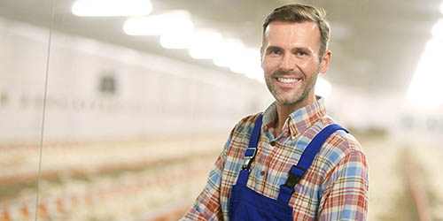 POULTRY